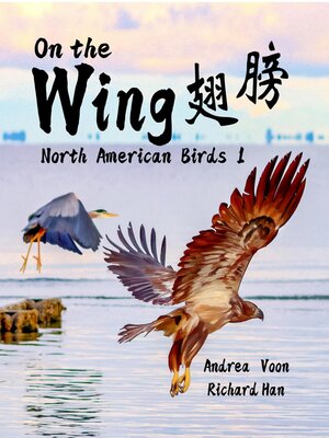 cover image of On the Wing--North American Birds 1